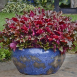 Jak prodloužit letní kvetení